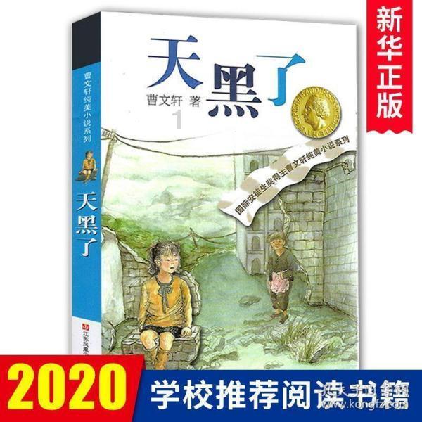 小米限定礼盒震撼来袭:科技与潮流的完美融合